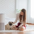 Breathe Easier with the Best AC Filter – How 12x30x1 Air Filters Trap Dust, Pollen & Pet Dander to Improve Indoor Air Quality
