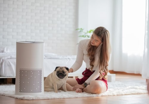 Breathe Easier with the Best AC Filter – How 12x30x1 Air Filters Trap Dust, Pollen & Pet Dander to Improve Indoor Air Quality